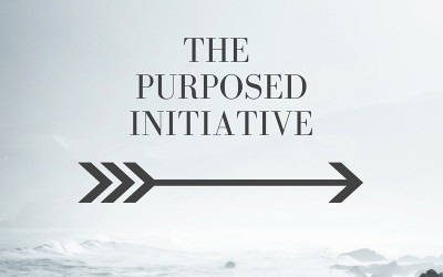The Purposed Initiative