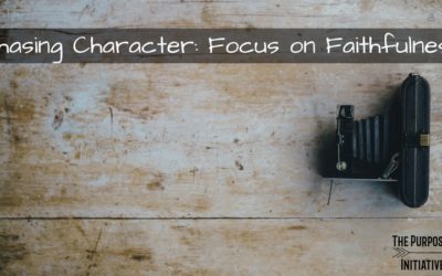 Chasing Character: Focus on Faithfulness